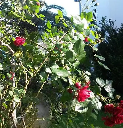 Appartamento Becici