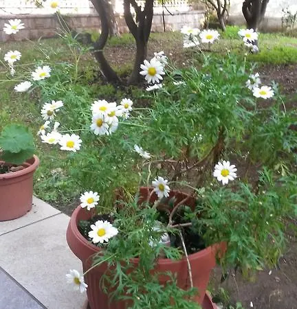 Becici Apartman
