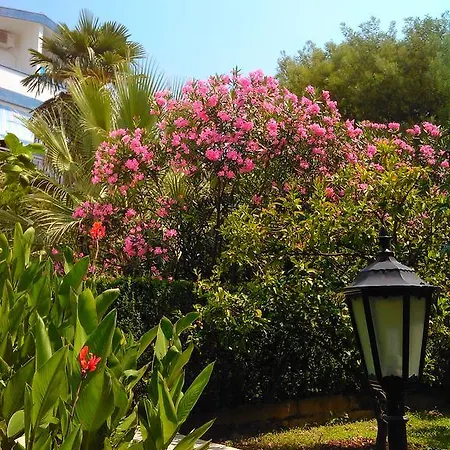 Becici Apartman Budva