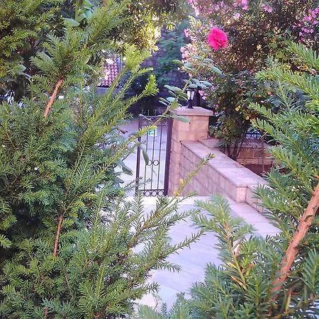 Becici Apartman Budva